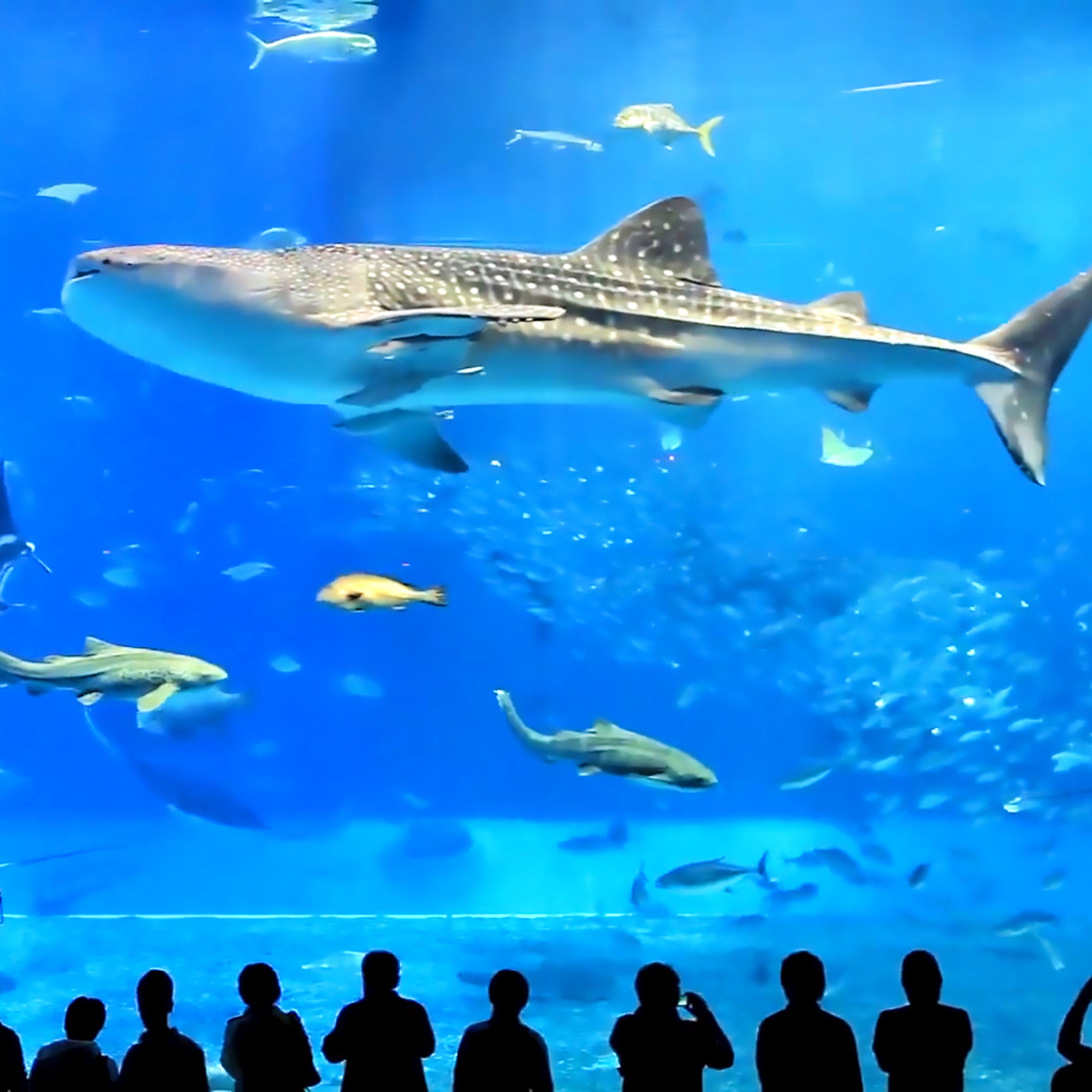 沖繩海島Chill旅行