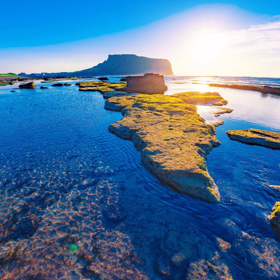 濟州橘子園｜城山日出峰｜探索牛島｜童話村