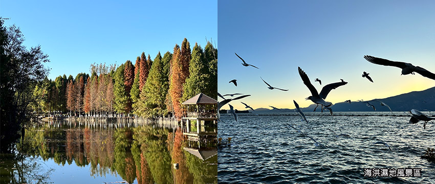 海洪濕地風景區