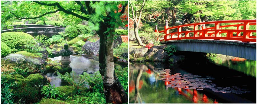 大根島牡丹人蔘園由志園