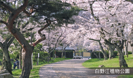 白野江植物公園