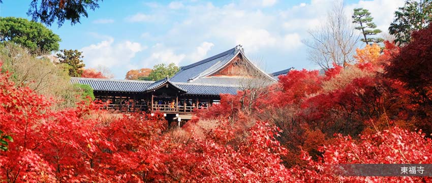 南禪寺