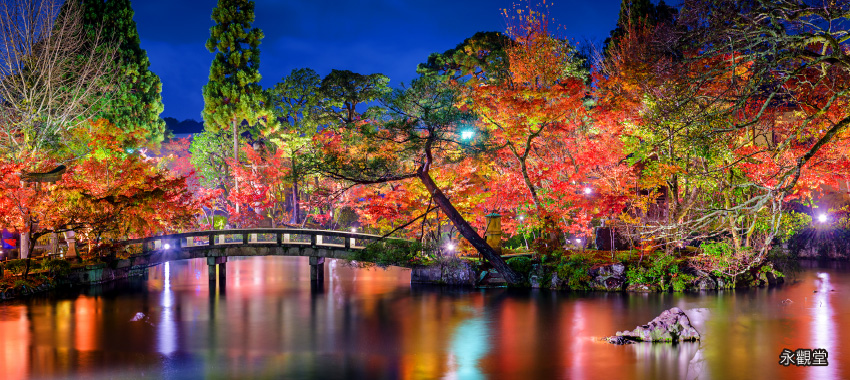 永觀堂夜楓