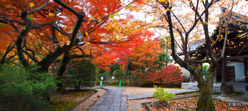 金剛院