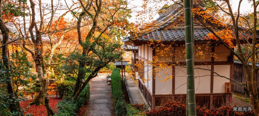 常寂光寺