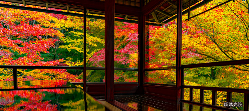 瑠璃光院