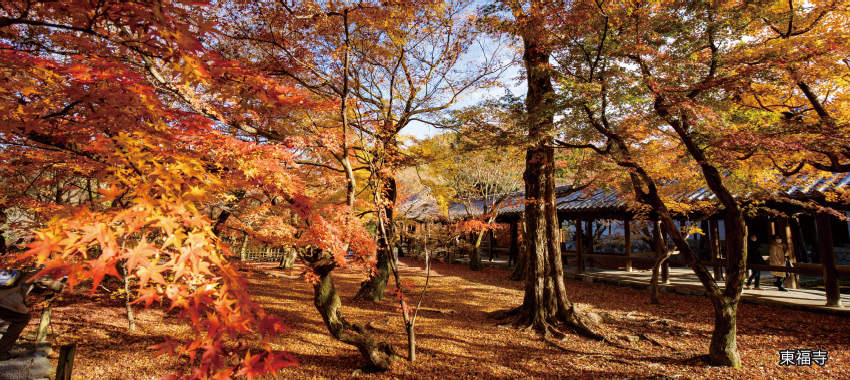 東福寺
