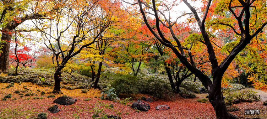 瑞寶寺公園