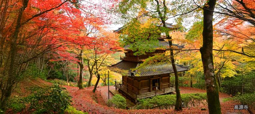 丹波高源寺