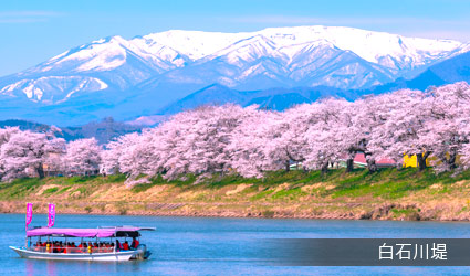 白石川堤