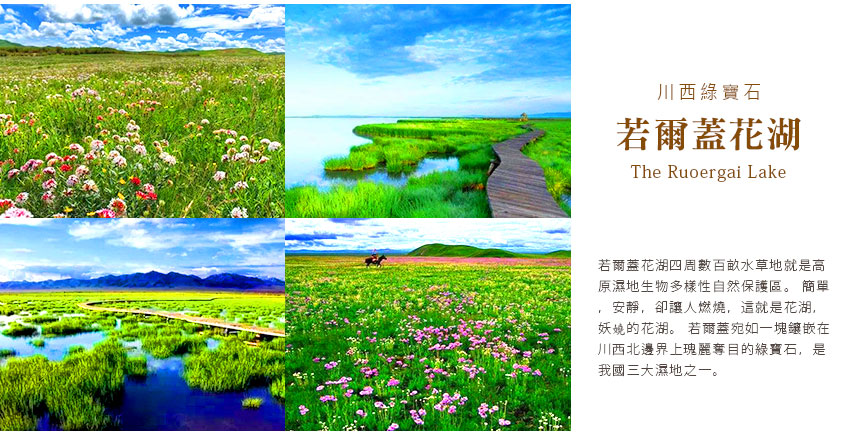 若爾蓋花湖