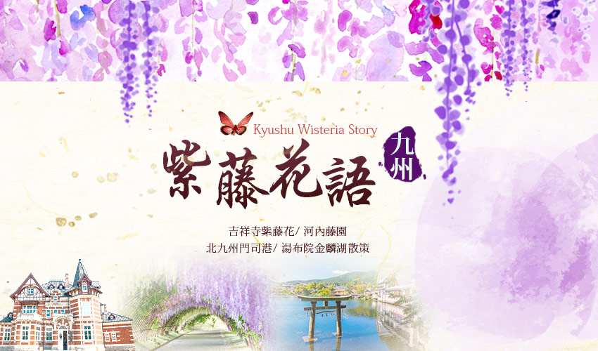 紫藤花語九州
