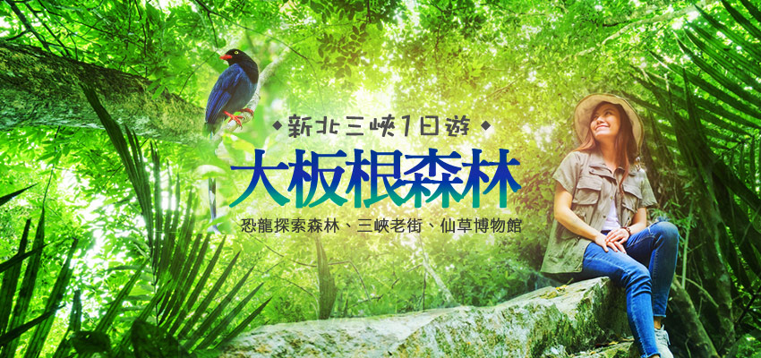 三峽大板根banner