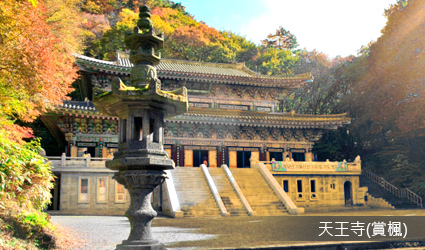 天王寺(賞楓)