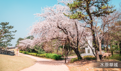 水原華城