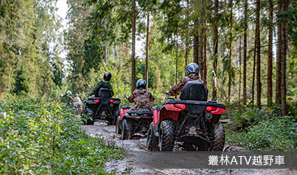 叢林ATV越野車
