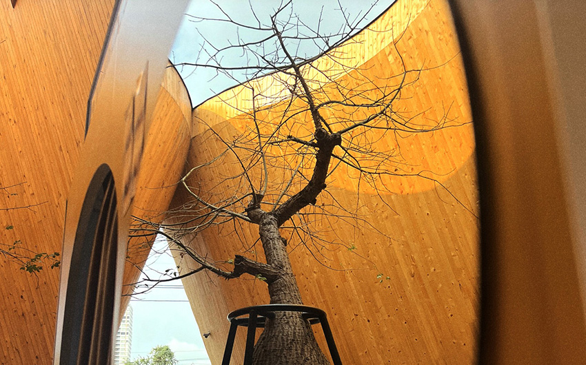 行程特色圖片