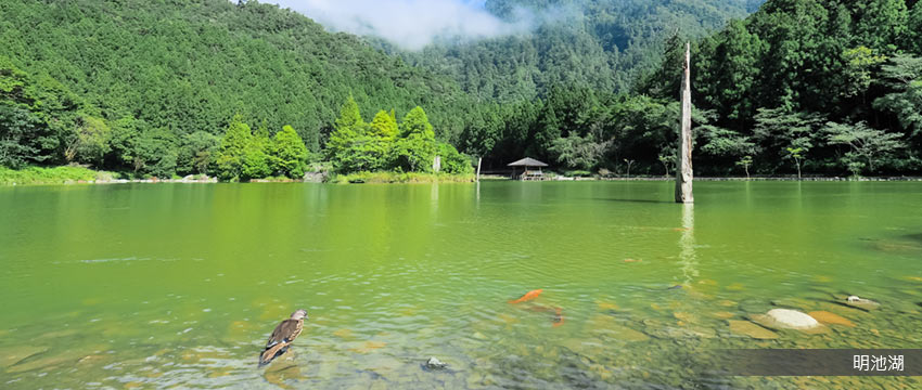 明池森林遊樂園區