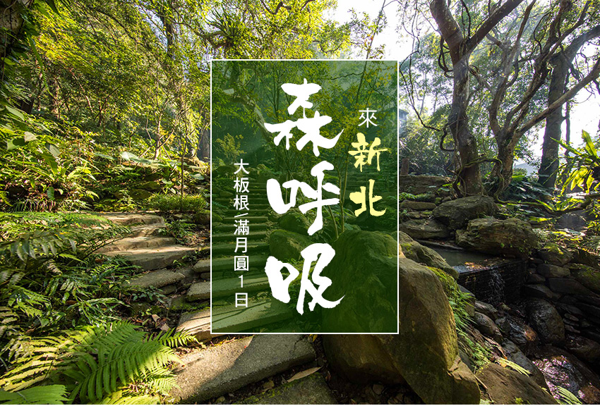 來新北森呼吸、大板根滿月圓1日