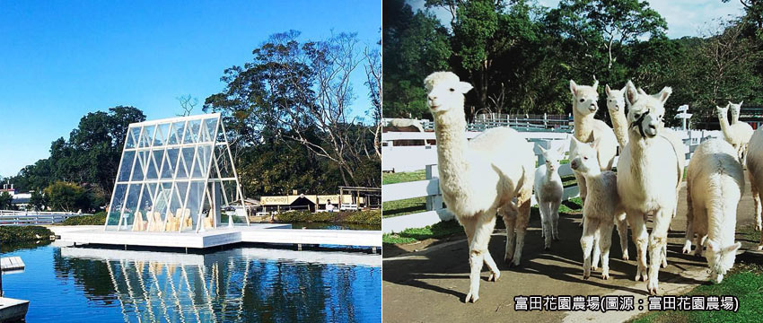 富田花園農場
